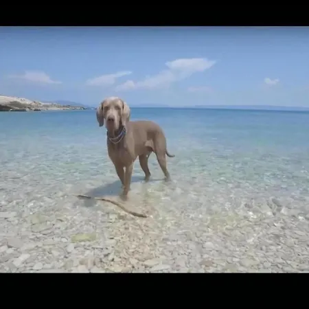 Wonderful In Casa vacanze *
